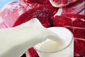 Мясные и молочные продукты полезны для зубов