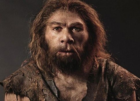 Неандертальцы ухаживали за своими зубами при помощи зубочисток